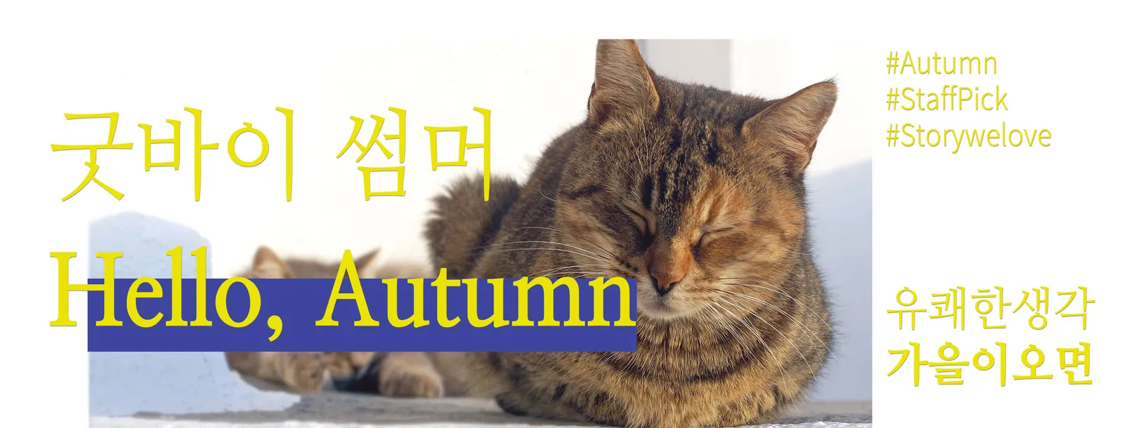 쇼핑스토리 판매페이지제작